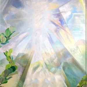 Ross Eugene Braught Transcendence