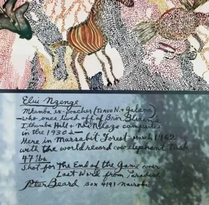 Peter Beard Elui with World Record Cow Elephant Tusk 47 lbs Marsabit Forest Kenya