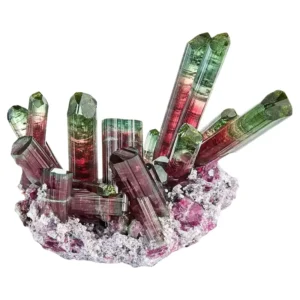 Tourmaline on Lepidolite Aricanga mine São José da Safira Brazil