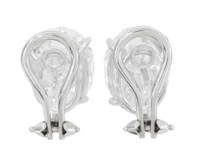 GIA Certified 11.83 Ct. D Color Flawless Clarity Platinum Earrings