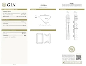 GIA Certified 20 Carat Type 2A FLAWLESS Clarity D Color Diamond Ring