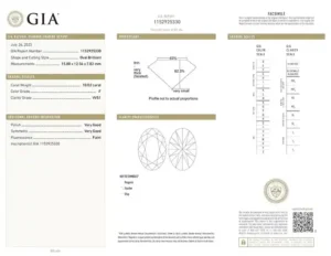 GIA Certified 10.02 Carat Oval Cut Diamond Ring in 18K White Gold VVS1 Clarity