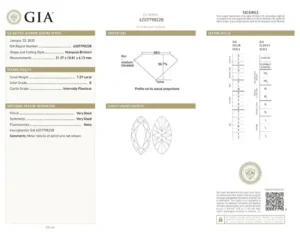GIA Certified 7.29 Carat Marquise Cut Diamond E Color IF Clarity in Platinum