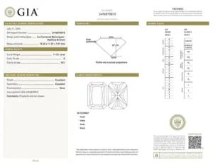 GIA Certified 11 Carat Radiant Cut Diamond Platinum Ring