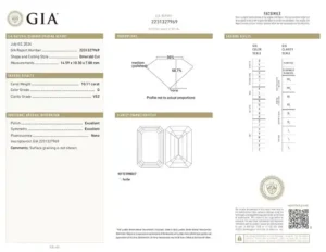 GIA Certified 10.11 Emerald Cut Diamond Ring in 18K White Gold with pavè 6 GIA Certified 10.11 Emerald Cut Diamond Ring in 18K White Gold with pavè