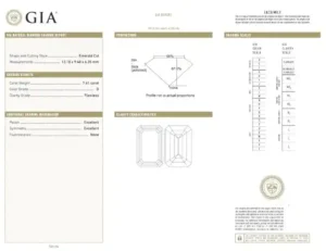 GIA Certified 7.4 Carat Emerald Cut D Flawless Diamond Platinum Ring