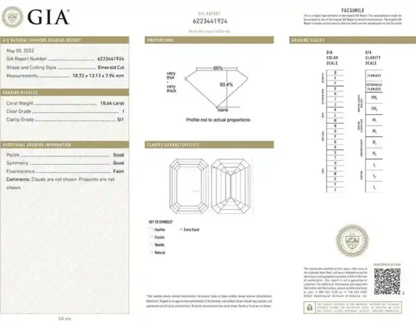 Vivid Diamonds GIA Certified 18.66 Carat Emerald Cut Diamond Engagement Ring