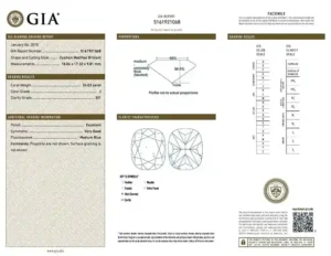 24.03 Carat Cushion Cut Diamond Engagement Ring