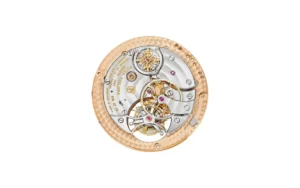 Patek Philippe Grand Complications 5303R-001 Minute Repeater Tourbillon