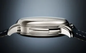 Patek Philippe Grand Complication 5316/50P-001 Tourbillon Retrograde Perpetual Calendar in Platinum