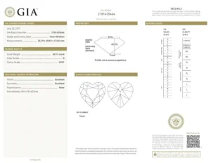 GIA 60 Carats Diamond D Color VVS1 Clarity